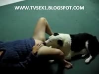 Woman moans while her dog licks her pussy